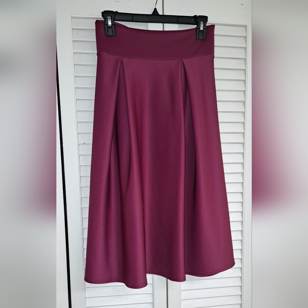 Zenobia Pink Maxi A-Line Pleated Skirt